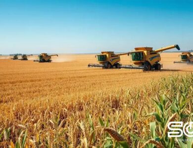 Safra de grãos 2024/2025 projeta alta de 13% e produção recorde